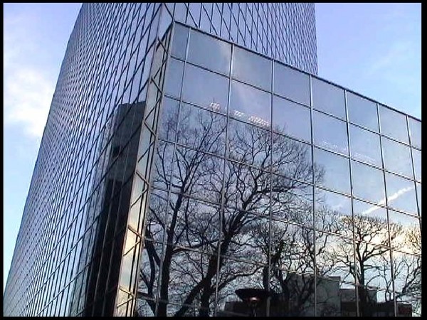 248. Contained Trees 