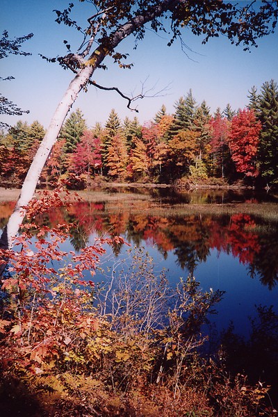 Autumn's Crayon Box