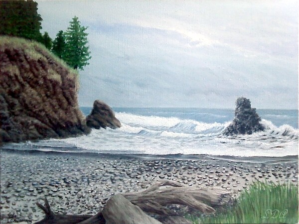 Driftwood Beach