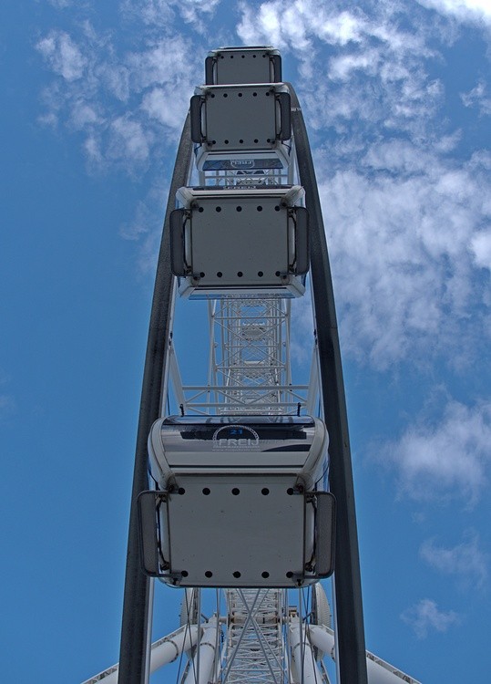 Skyward