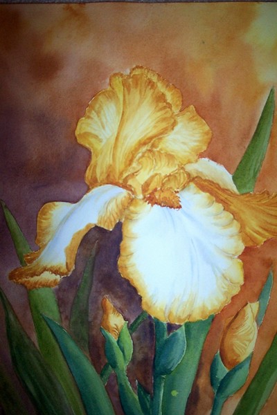 Yellow Iris