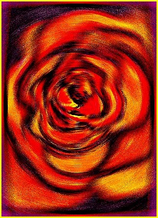 ROSEX2