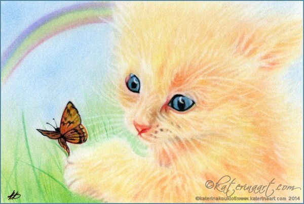 Beyond the Rainbow