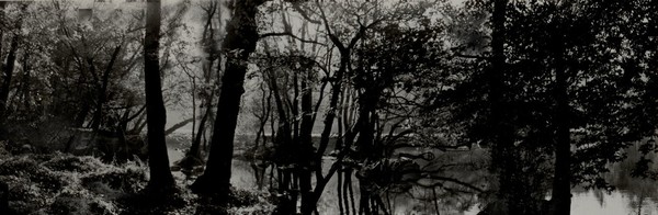 foret imaginaire