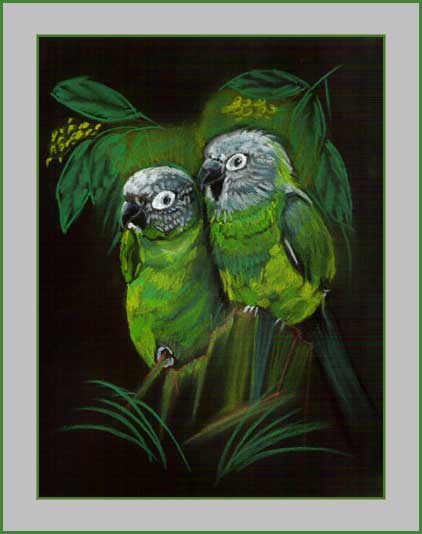 Parrot Pair