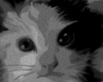 Wide-eyed
