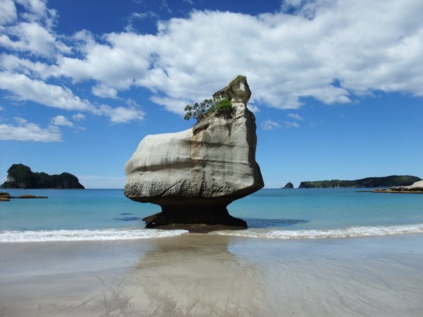 new zealand coromandel