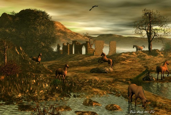 Wild Horses
