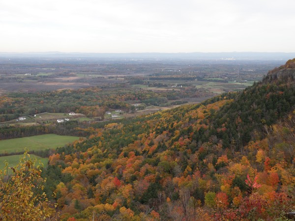 Autumn Hillside II