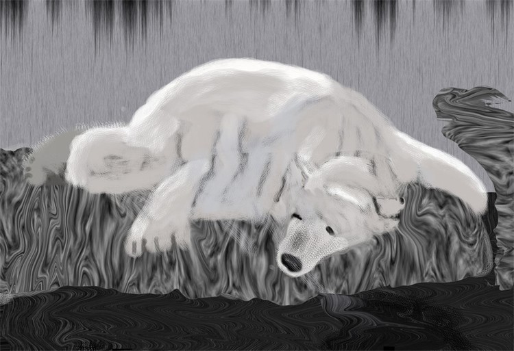 Sleeping Polar Bear O827