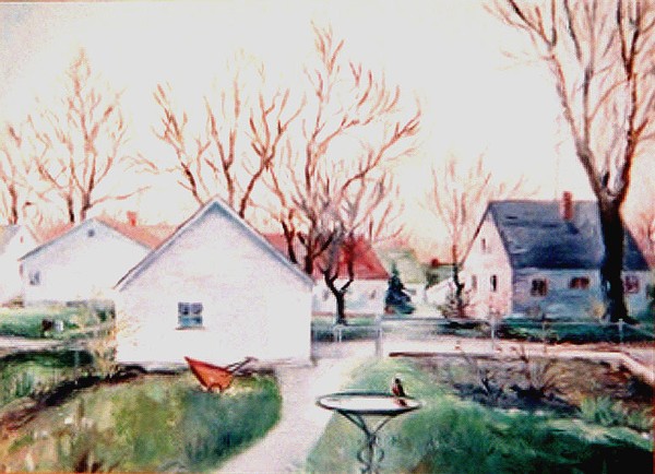 Sheridan Avenue Backyard