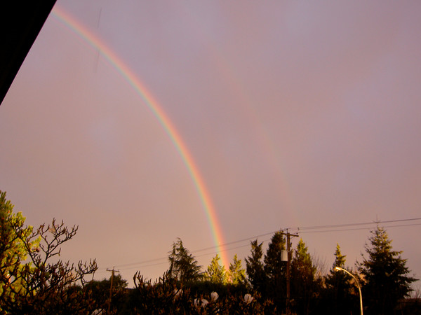 Rainbow