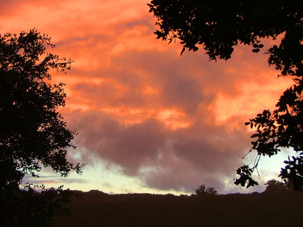 fire in the sky