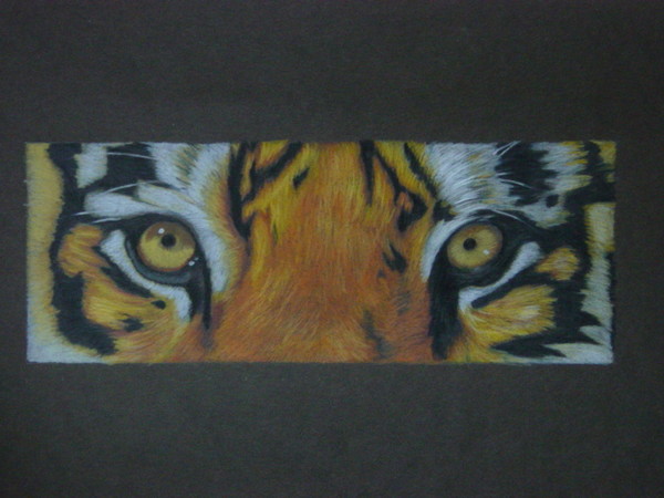 Eyes of the Tiger
