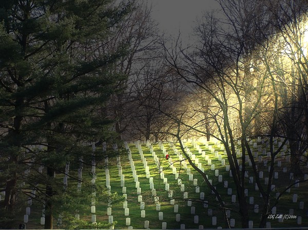 One Wreath