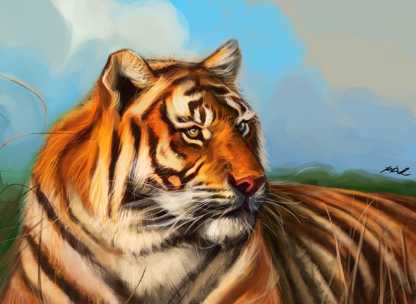Tiger
