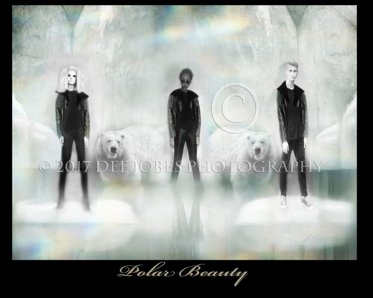 Polar Beauty