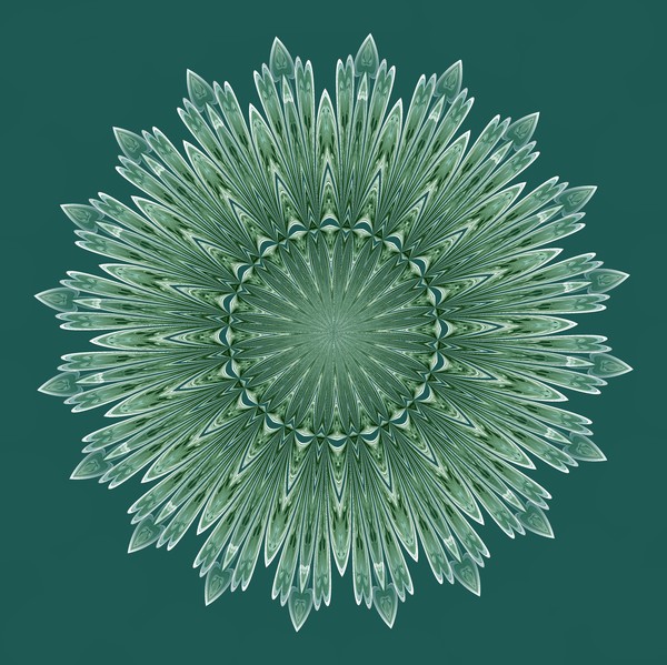 Feathery Blue (Six)