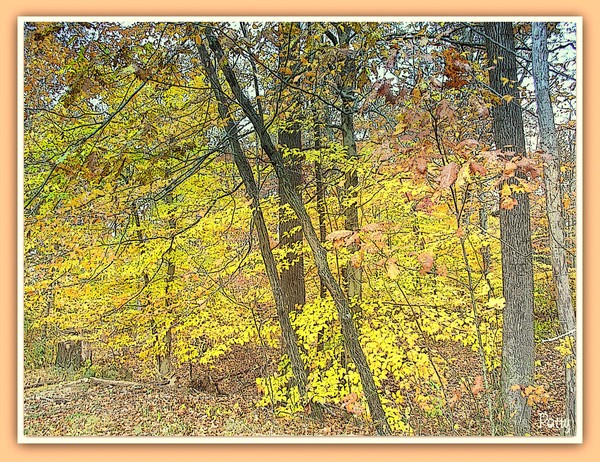 Autumn at Home...................