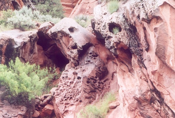 Zion Rocks
