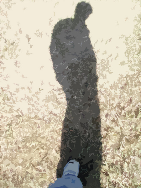 Shadow Twin