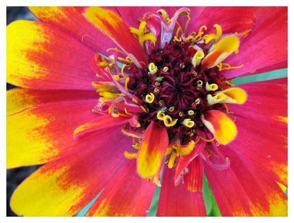 .macro 002.