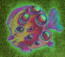 lovely fish02