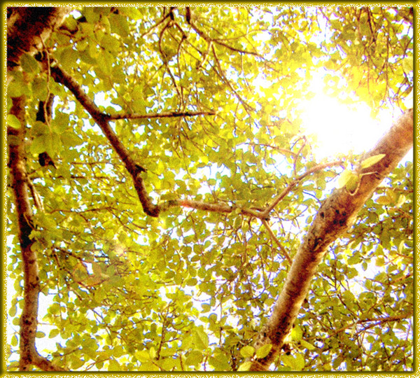 Shine Your Light Down on Me