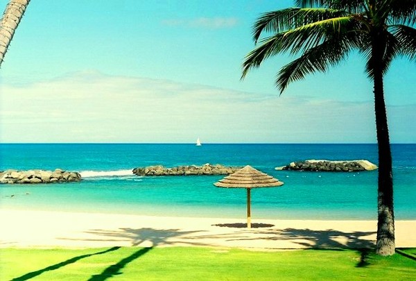 Paradise