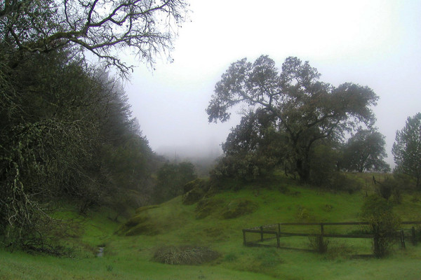 January In Healdsburg