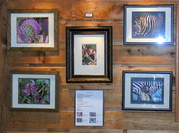 My First Art Show