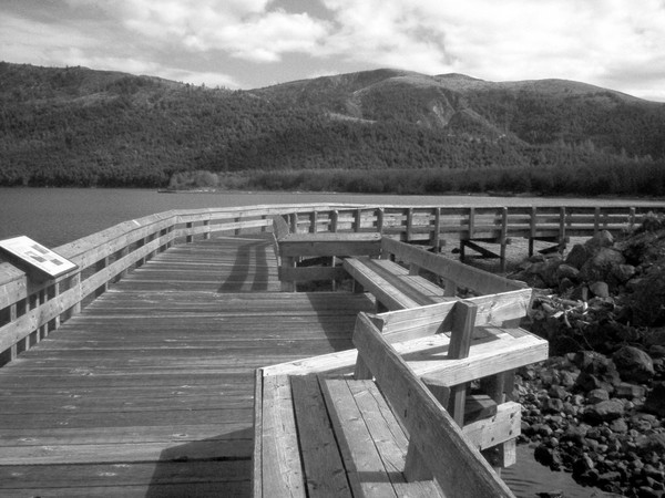 Walking Along the New Lake