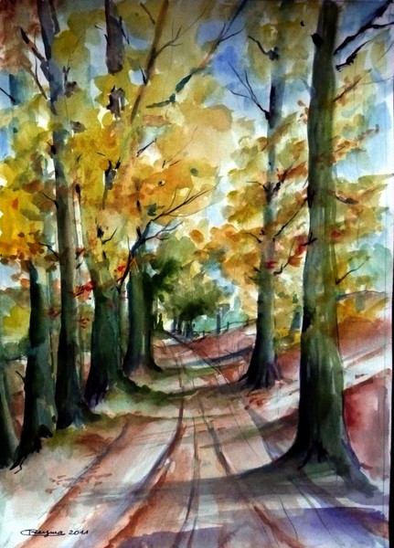 Autumn : colors, light and shadow