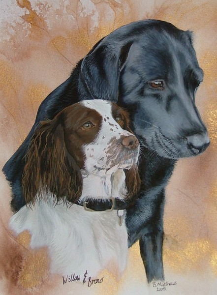 Willow & Bruno