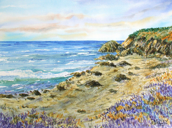 Adriatic beach 7