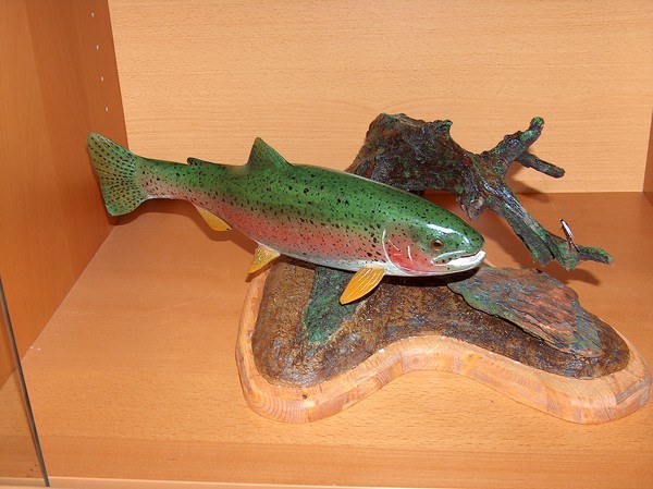 Rainbow Warrior