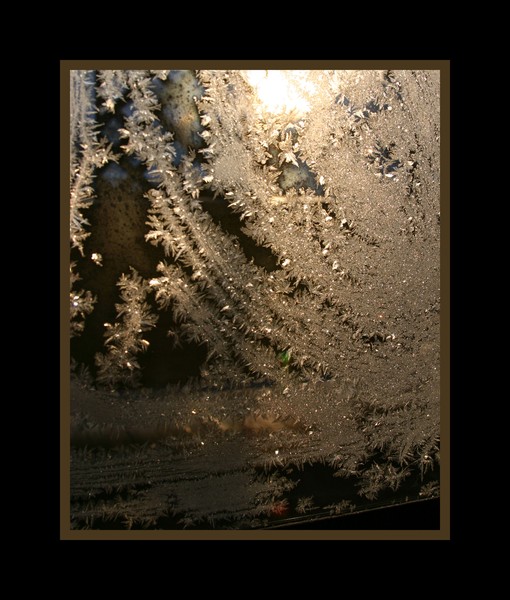 Morning Frost