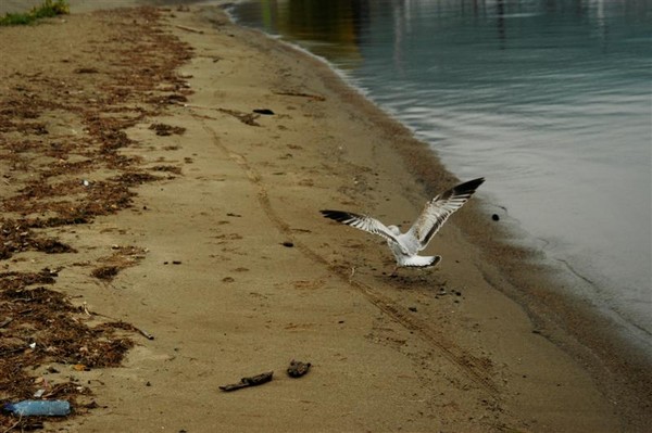 smooth landing....