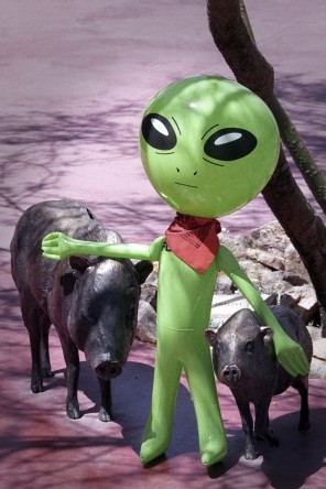 Javelina  Alien