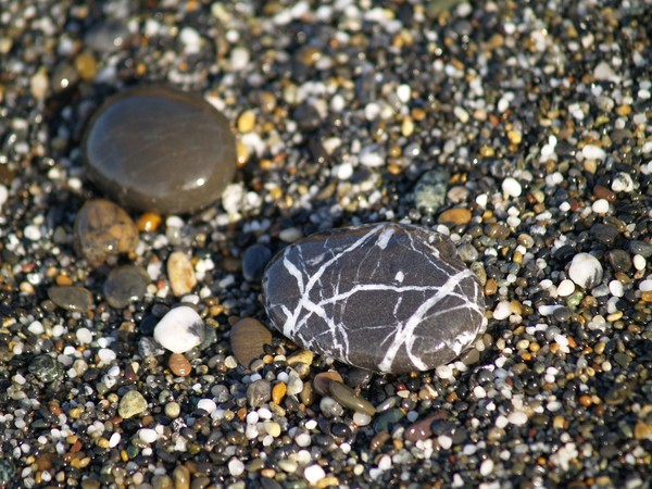 Beach Pebbles