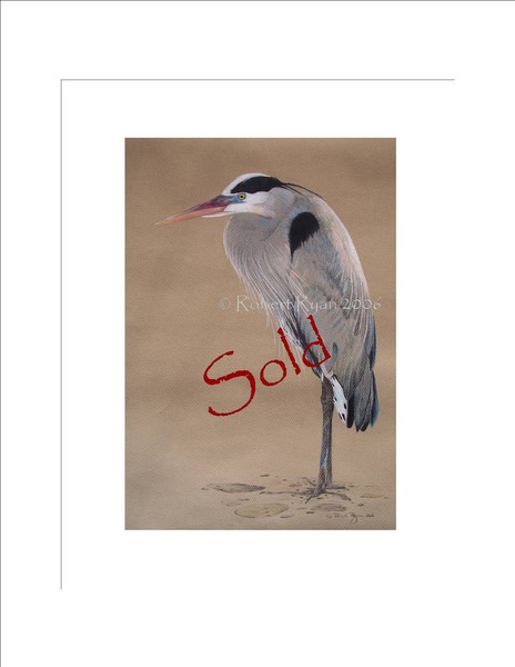 Blue Heron