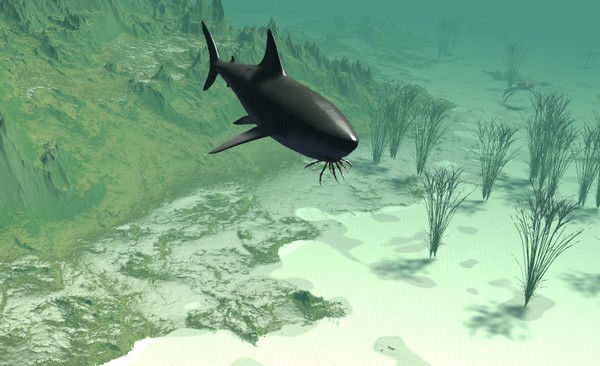 SEALIFE 3