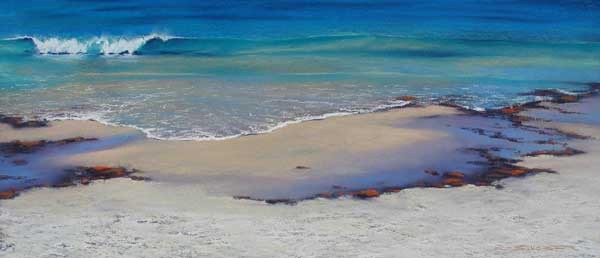 Coastline Study