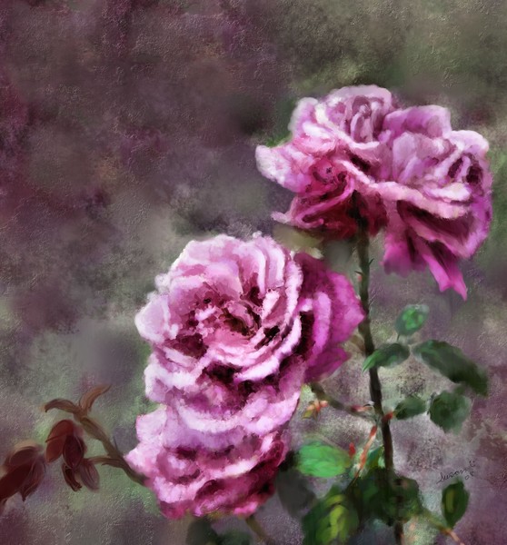 Moms Roses