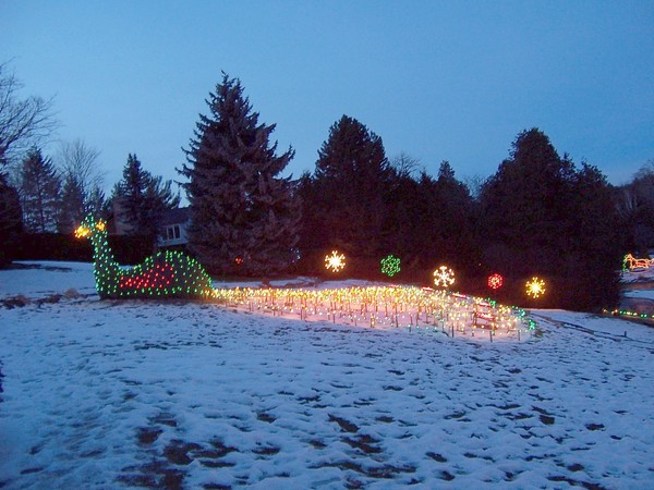Luminous Dragon