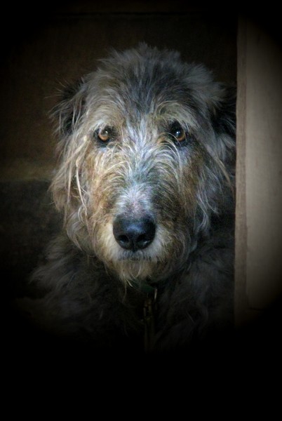 MURPHY, can you help???
