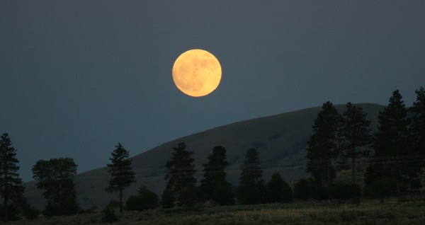 Desert Moon