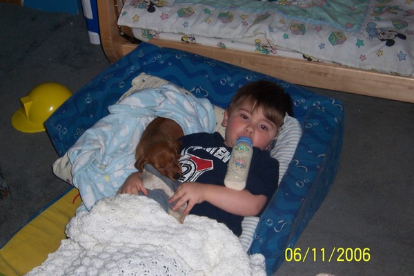 A Boy & His Dog