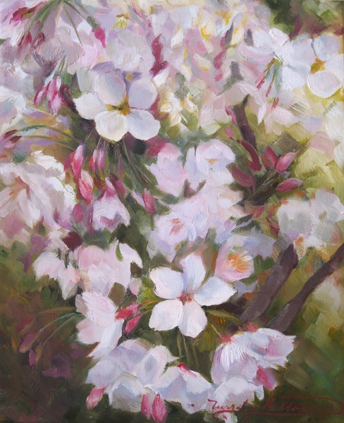 Cherry Blossom