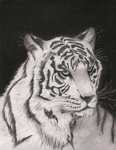 White Tigress